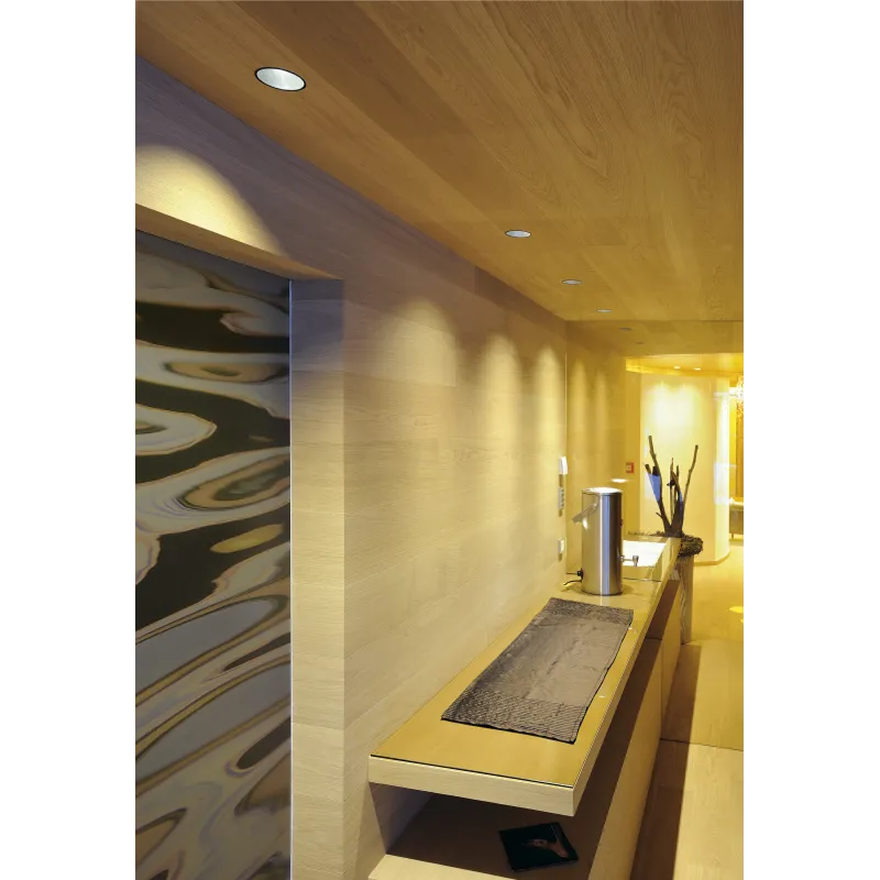 HORN, encastré de plafond intérieur, simple, noir, GU10/QPAR51, 25W max, IP20/IP44, RT 2012