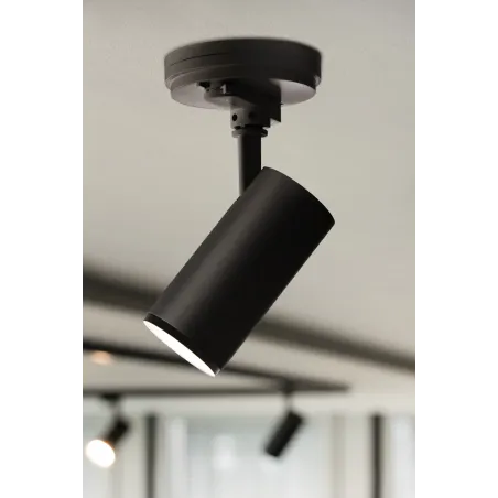 NUMINOS® M, spot pour rail 3 allumages intérieur, 60 deg , noir, LED, 20W, 3000K, variable Dali
