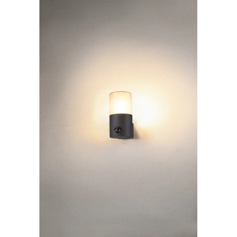 GRAFIT, applique extérieure, rond, anthracite, E27, 11W max, IP44, détecteur de mouvements