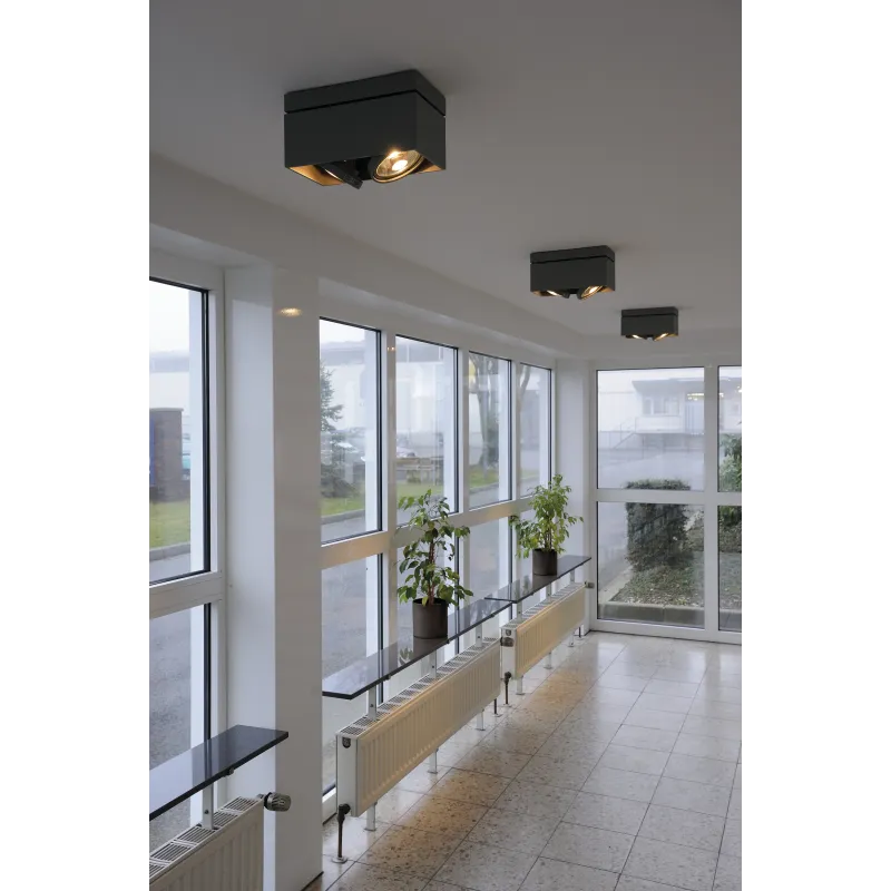 KARDAMOD, plafonnier intérieur, double, rectangulaire, noir mat, GU10/QPAR111, 2x 75W max