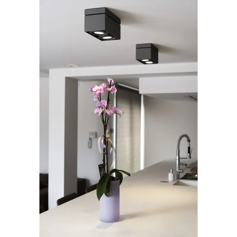 KARDAMOD, plafonnier intérieur, double, rectangulaire, noir mat, GU10/QPAR111, 2x 75W max
