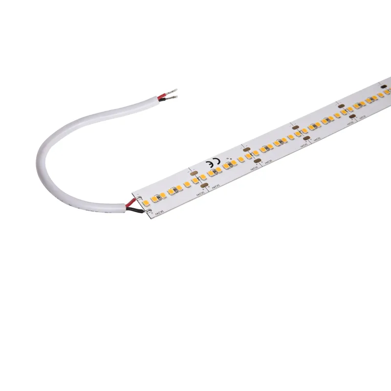 GRAZIA PRO MAX FLEXSTRIP, bandeau LED intérieur, 5 m, 20 mm, blanc, LED, 3000K, 2500lm/m