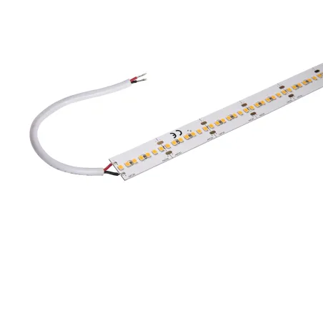 GRAZIA PRO MAX FLEXSTRIP, bandeau LED intérieur, 5 m, 20 mm, blanc, LED, 3000K, 2500lm/m