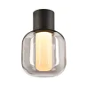 OVALISK, plafonnier extérieur, anthracite, LED, 7,5W, 3000/4000K, IP65, interrupteur CCT