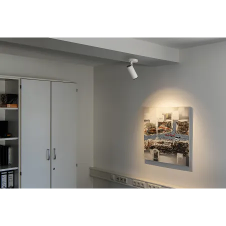 NUMINOS® M, plafonnier intérieur, orientable, 36 deg , blanc/noir, LED, 20W, 3000K, variable