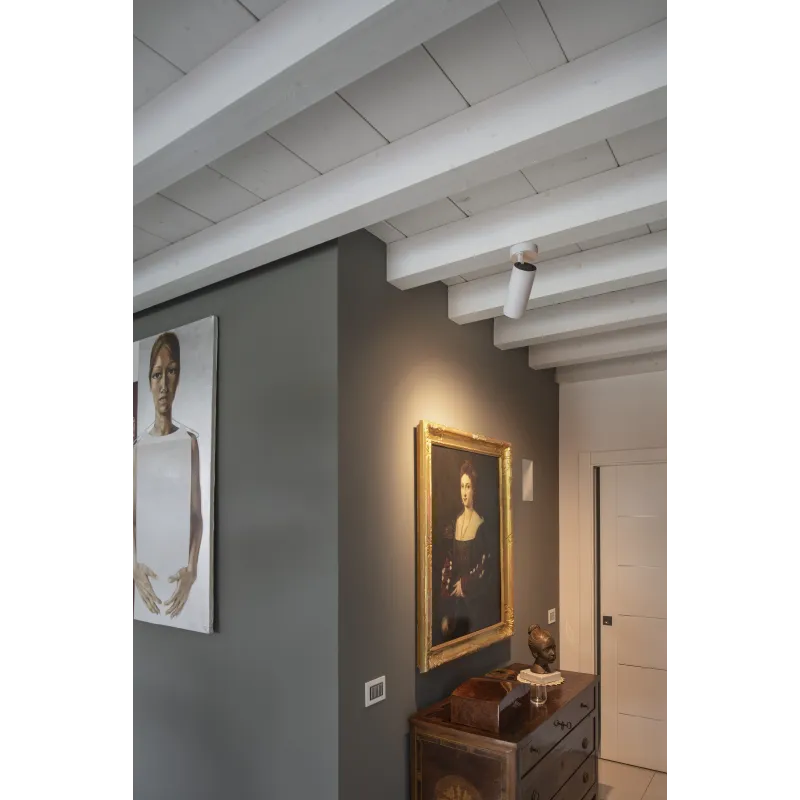 NUMINOS® XL, plafonnier intérieur, orientable, 36 deg , noir, LED, 36W, 3000K, variable Dali
