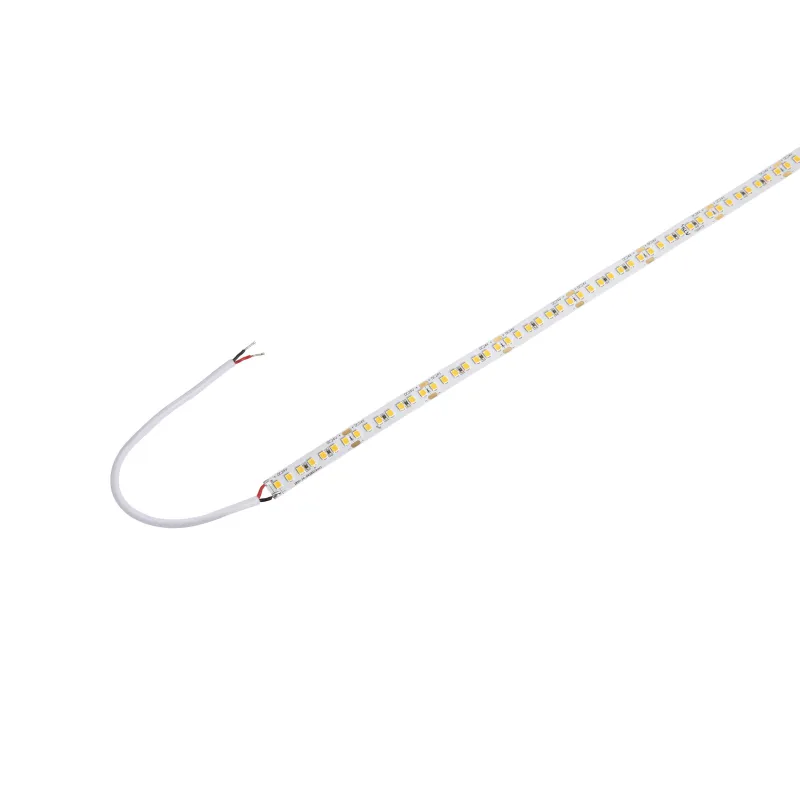GRAZIA PRO FLEXSTRIP, bandeau LED intérieur, 5 m, 10 mm, blanc, LED, 3000K, 1700lm/m