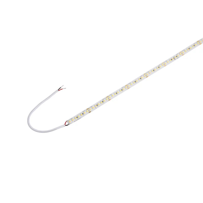 GRAZIA PRO FLEXSTRIP, bandeau LED intérieur, 5 m, 10 mm, blanc, LED, 6500K, 1700lm/m