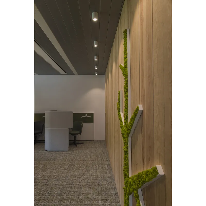 TRILEDO, plafonnier intérieur, simple, rond, alu brossé, GU10/LED GU10 51mm, 10W max