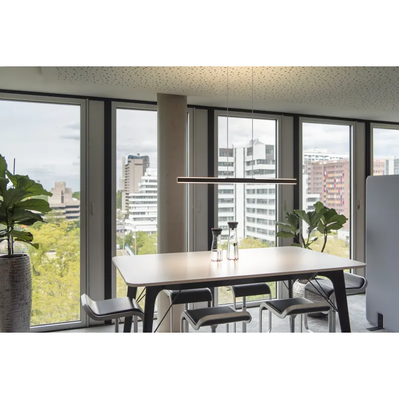 ONE LINEAR 100, suspension intérieure, up/down, noir, LED, 24W, 2700/3000K, variable