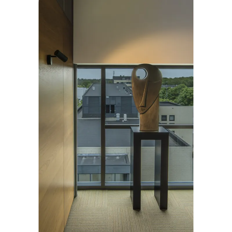 NOBLO, applique et plafonnier intérieur, simple, argent, LED, 8W, 2700K, variable