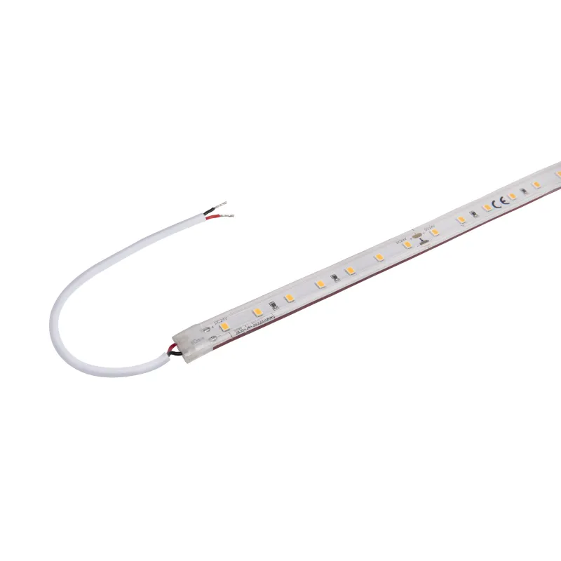GRAZIA IP FLEXSTRIP, bandeau LED extérieur, 5 m, blanc, LED, 3000K, IP54, 700lm/m