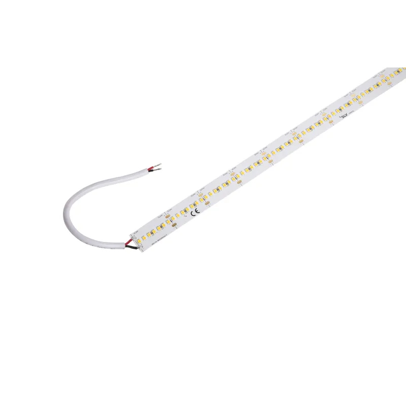 GRAZIA IP FLEXSTRIP, bandeau LED extérieur, 5 m, blanc, LED, 4000K, IP54, 700lm/m