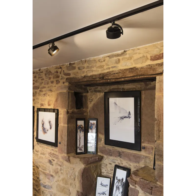 KALU TRACK, spot pour rail 1 allumage intérieur, noir, LED, 13W, 3000K, variable