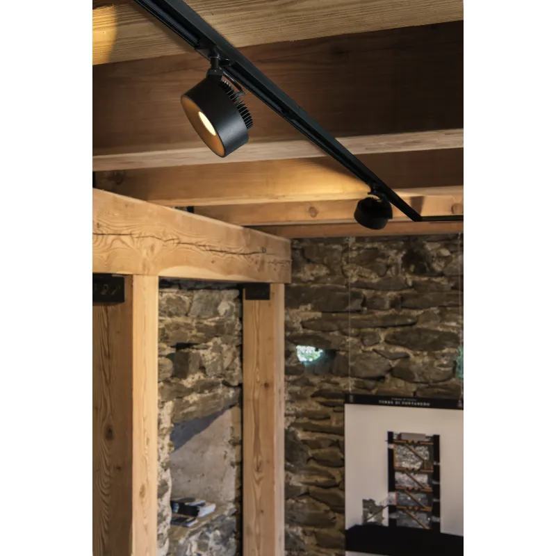 KALU TRACK, spot pour rail 1 allumage intérieur, noir, LED, 13W, 3000K, variable