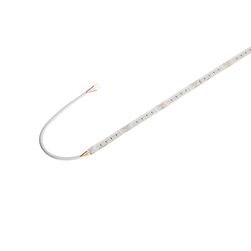 GRAZIA PRO FLEXSTRIP, bandeau LED intérieur, 5 m, 20 mm, blanc, LED, 2700-6500K