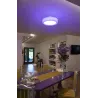 MALANG, applique et plafonnier intérieur, Valeto®, blanc, LED, 39W, 2700K-6500K