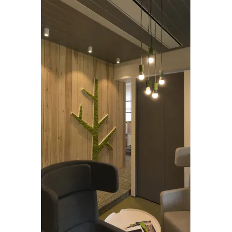 TRILEDO, plafonnier intérieur, simple, rond, blanc, GU10/LED GU10 51mm, 10W max