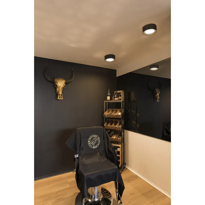 FERA 25, plafonnier intérieur, noir mat, LED, 19,5W, 3000K/4000K, variable Dali