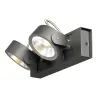 KALU, applique et plafonnier intérieur, double, noir, LED, 31W, 3000K, variable