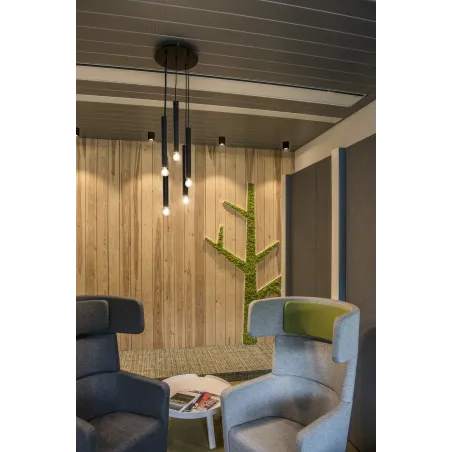 TRILEDO, plafonnier intérieur, simple, rond, noir, GU10/LED GU10 51mm, 10W max