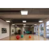 MEDO 60, plafonnier intérieur, carré, blanc, LED, 38,4W, 3000K, variable 1-10V