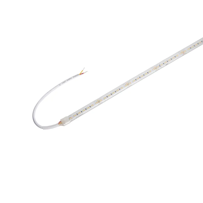 GRAZIA IP FLEXSTRIP, bandeau LED extérieur, 5 m, blanc, LED, 2700-6500K, IP54