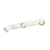 AVO, applique et plafonnier intérieur, triple, blanc, GU10/QPAR51, 3x 50W max