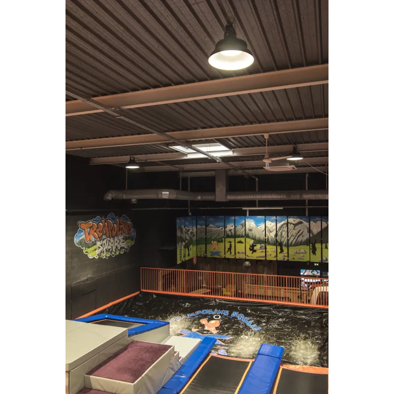 PARA FLAC, suspension intérieure, noir, LED, 104W, 4000K, IP65, variable Dali