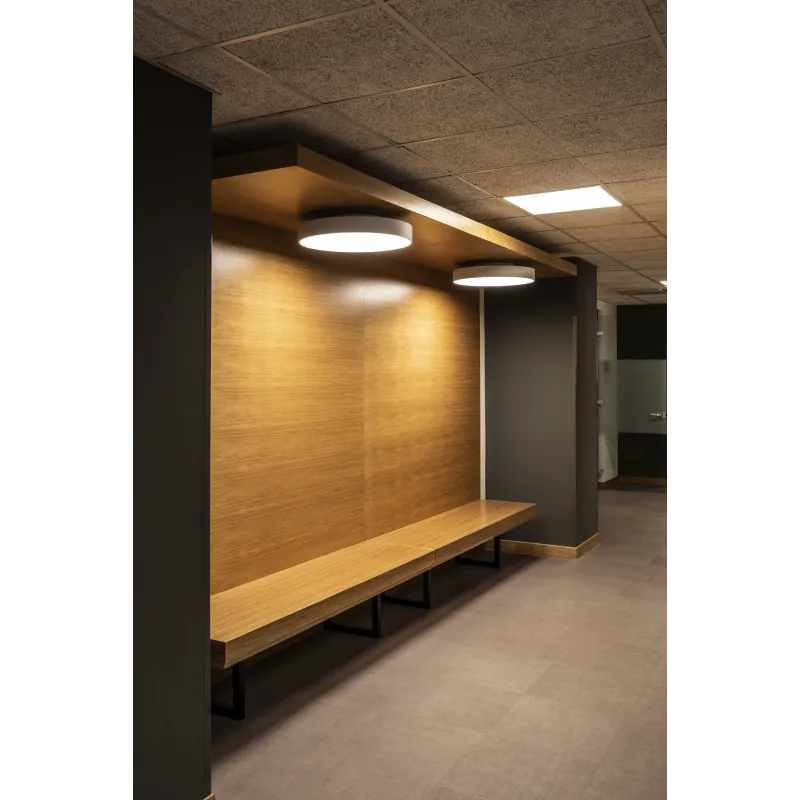 MEDO 60, plafonnier intérieur, rond, gris, LED, 38,3W, 3000K, variable 1-10V