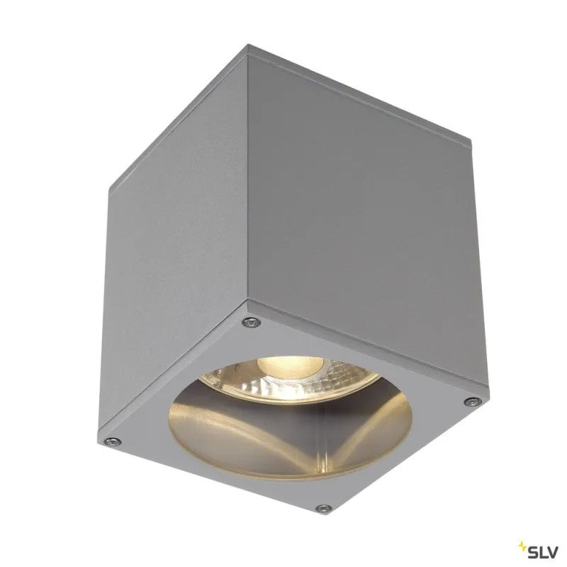 BIG THEO, plafonnier extérieur, gris, GU10/QPAR111, 75W max, IP44