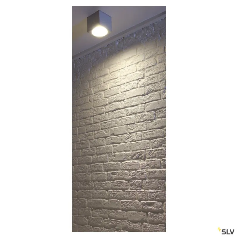 BIG THEO, plafonnier extérieur, gris, GU10/QPAR111, 75W max, IP44