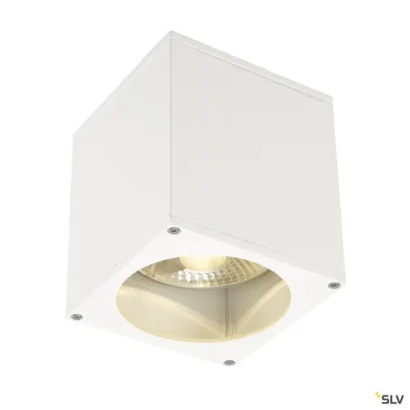 BIG THEO, plafonnier extérieur, blanc, GU10/QPAR111, 75W max, IP44