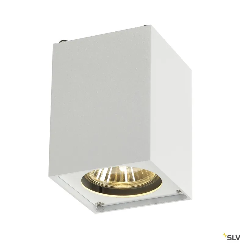 ALTRA DICE, plafonnier intérieur, simple, blanc, GU10/QPAR51, 35W max