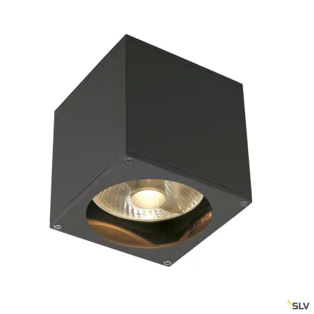 BIG THEO, applique extérieure, anthracite, GU10/QPAR111, 75W max, IP44