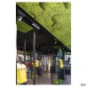 SIGHT MOVE, spot pour rail 3 allumages intérieur, noir, LED, 26W, 3000K