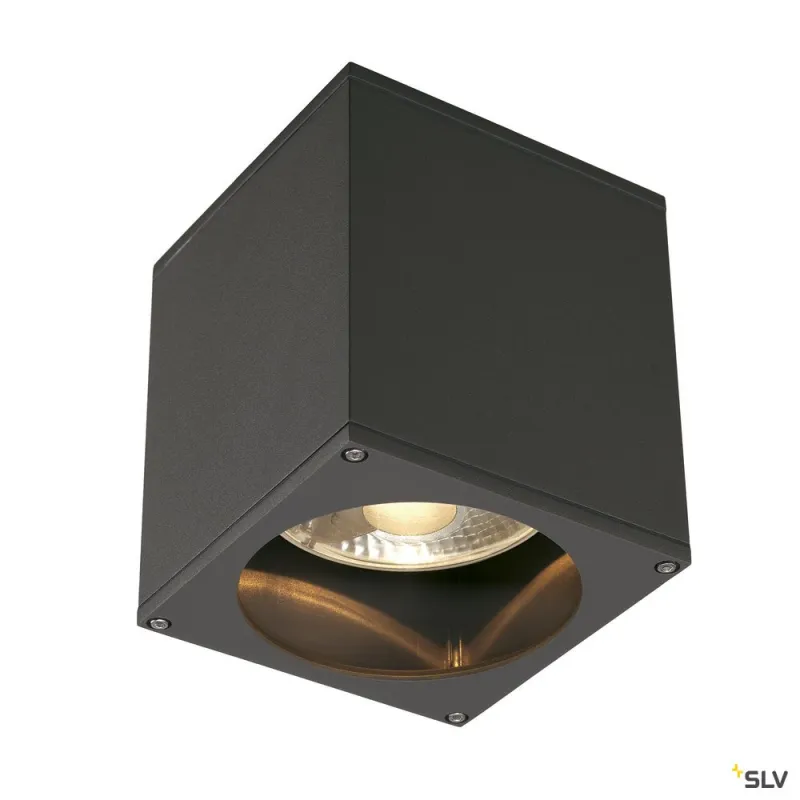 BIG THEO, plafonnier extérieur, anthracite, GU10/QPAR111, 75W max, IP44