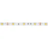 Ruban strip led 12v-5m-ip20-3000k-4000k-6000k