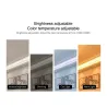 Kit interrupteur mural a piles + contrôleur cct 30M RF
