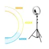 Lampadaire noir barre led 12w cct anneaux selfie vidéo support smartphones