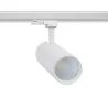 Projecteur led 30w blanc-3000lm-rail 3 allumages boutiques commerces