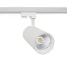 Projecteur led 30w blanc-3000lm-rail 3 allumages boutiques commerces