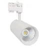 projecteur led 30w blanc-36°-cri 80-2400lm-cct-rail 3 allumages boutiques commerces