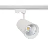 projecteur-led-40w-blanc-4000lm-rail-3-allumages-boutiques-commerces
