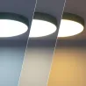 Applique plafonnier 24w led cct-métal rond vert-40cm