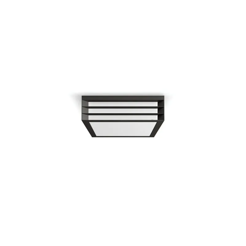 Applique plafonnier extérieur Philips ip44 gris anthracite