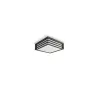 Applique plafonnier extérieur Philips ip44 gris anthracite