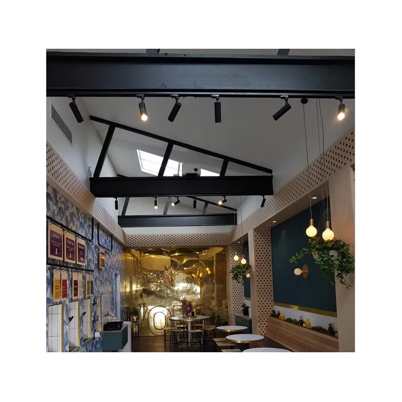 Projecteur led 20w blanc-1800lm-rail 3 allumages boutiques commerces
