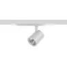 projecteur-led-42w-blanc-3860lm-rail-3-allumages-poissonnerie-5000k