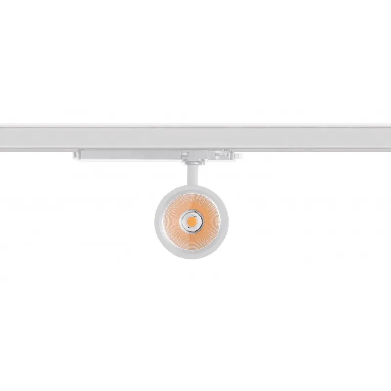 projecteur-led-42w-blanc-3860lm-rail-3-allumages-fruits-et-legumes